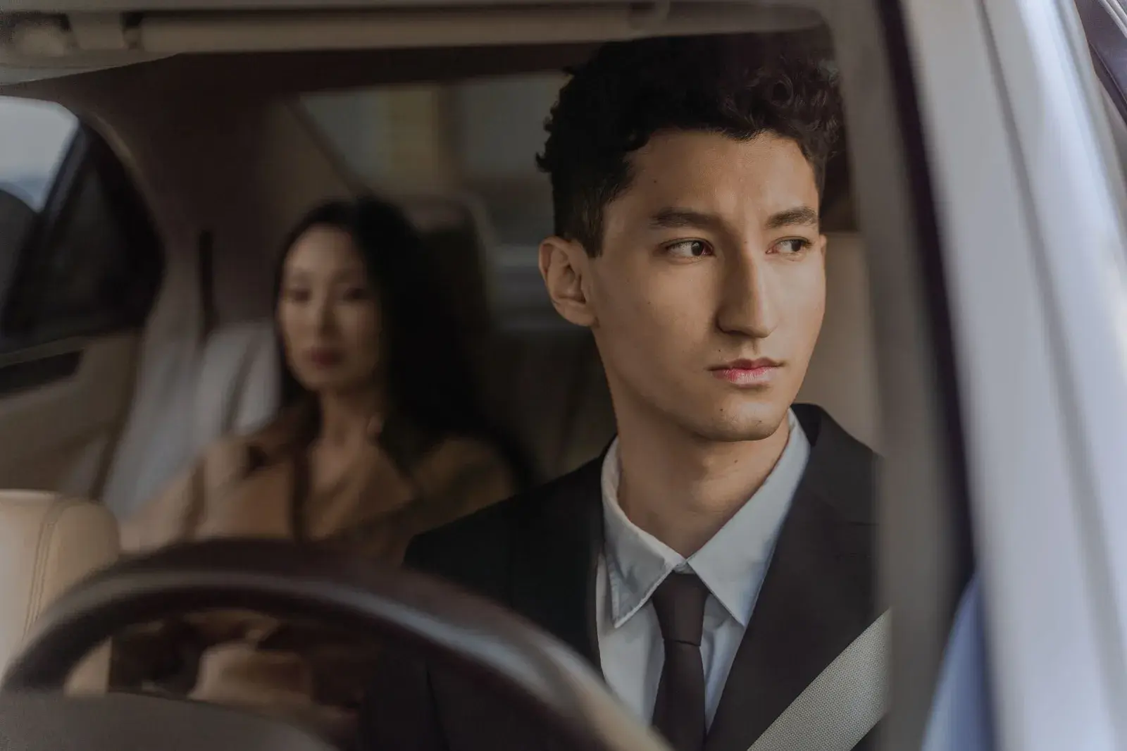 A professional chauffeur, portrait