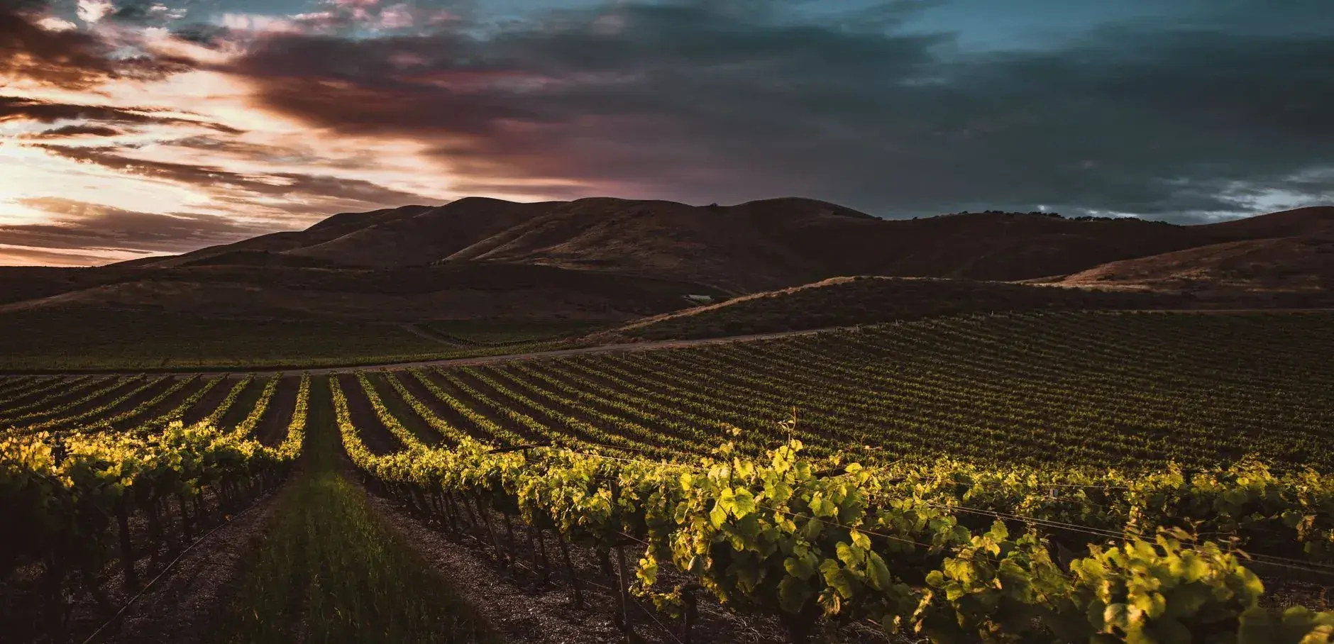 Napa & Sonoma
