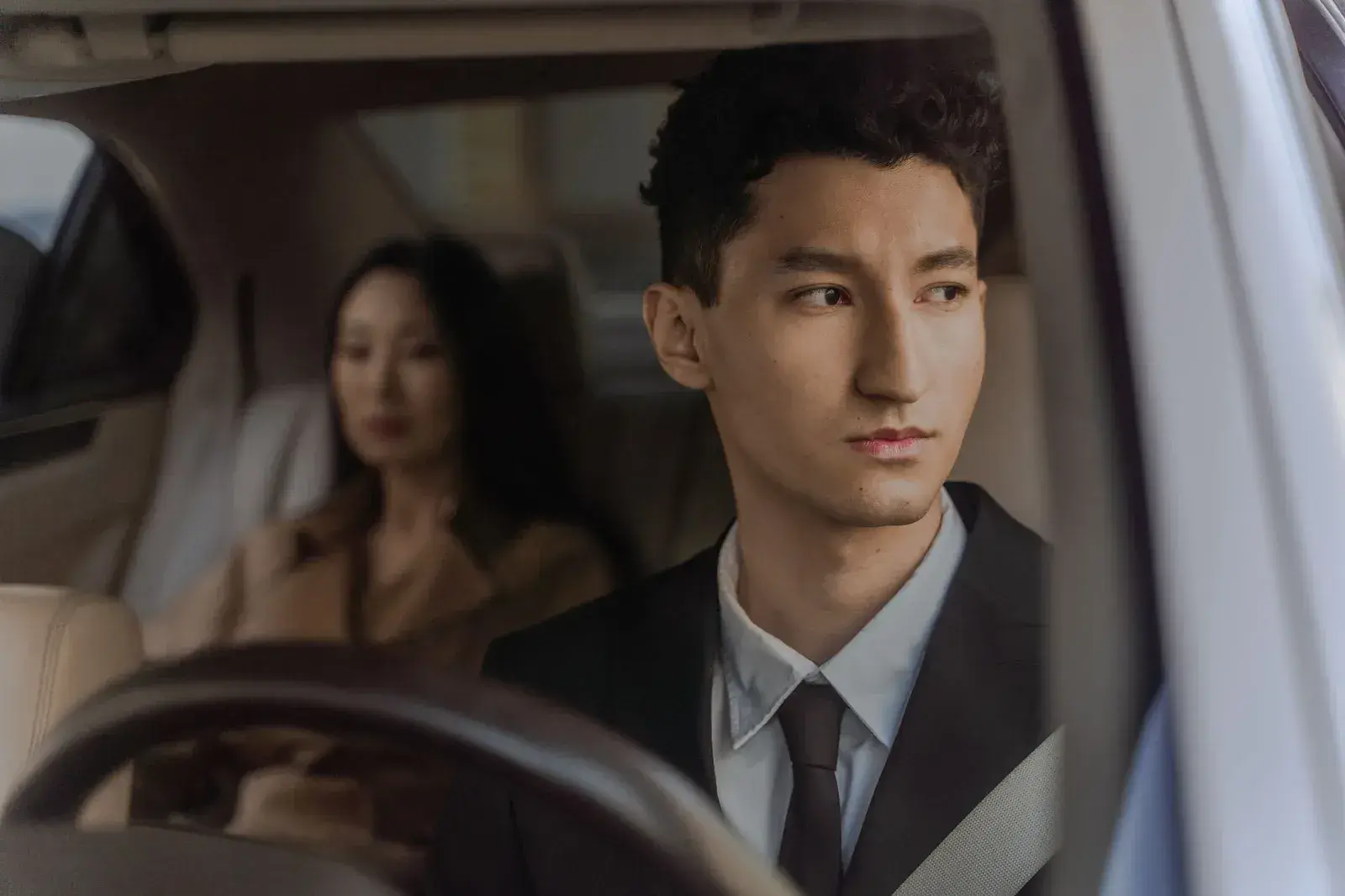 A professional chauffeur, portrait