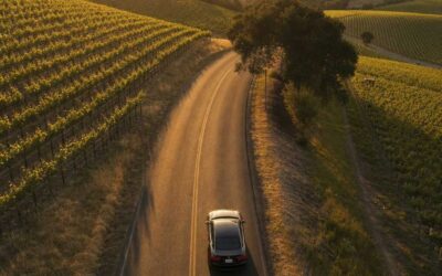 Napa Weekend Trip from San Francisco: Luxury Guide